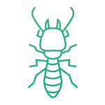 termite icon